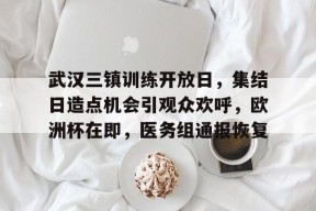 Kaiyun网页版-武汉三镇训练开放日，集结日造点机会引观众欢呼，欧洲杯在即，医务组通报恢复的简单介绍